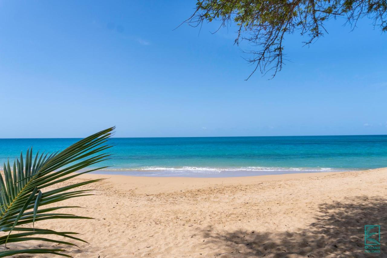 Magnifique Et Spacieux T2 Proche De La Plage - La Kiss House Apartment Deshaies Luaran gambar